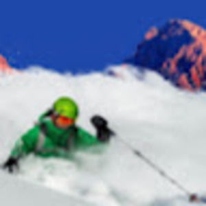 Meet your Posher, Grayson